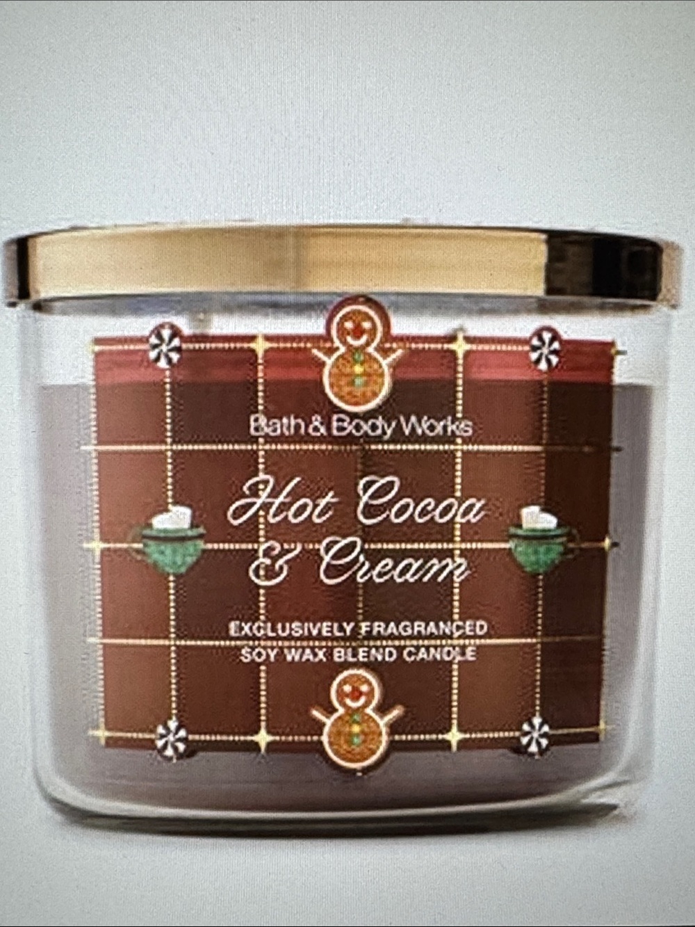 Bath & Body Works Hot Cocoa & Cream Candle